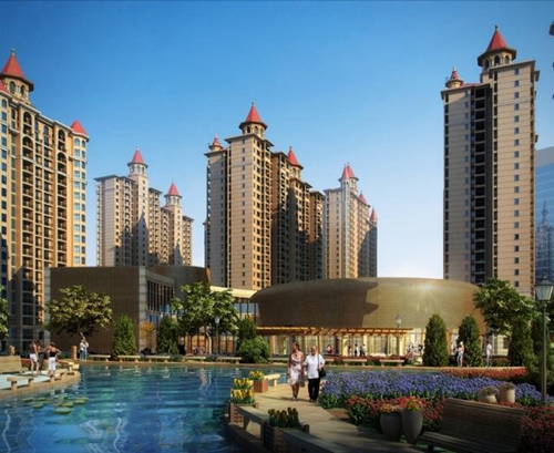 龙须树土壤配置